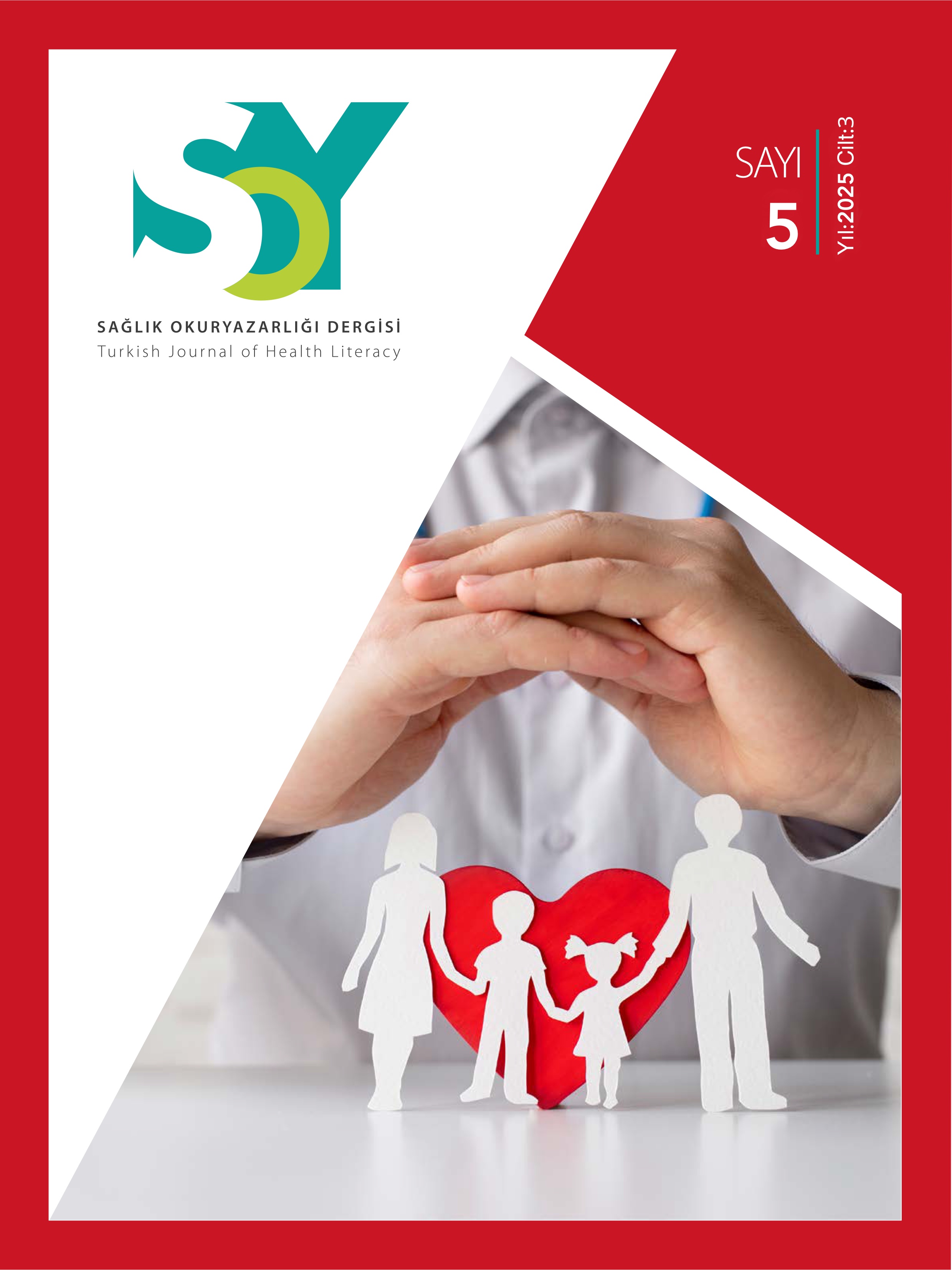 					View Vol. 5 No. 3 (2025): SOYD Volume 5 Issue 3 - 2025
				